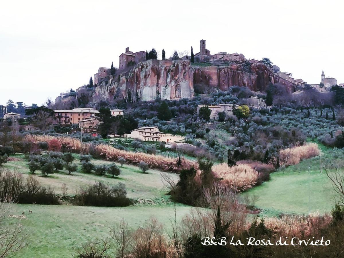 La Rosa Di Orvieto Acomodação com café da manhã Exterior foto